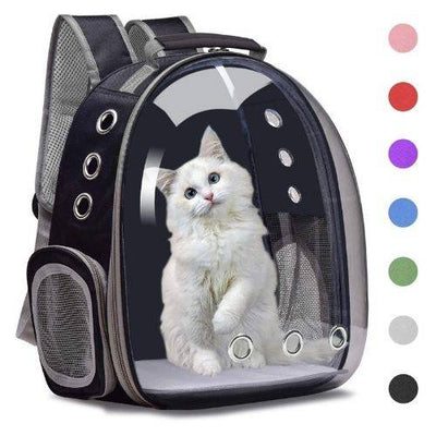 Transparent cat carrier backpack with breathable mesh panels and comfortable straps, designed for pet safety and travel.