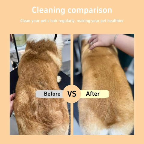 Before and after comparison of a dog's coat cleaned using a pet hair and flea comb showing reduced shedding and smoother fur