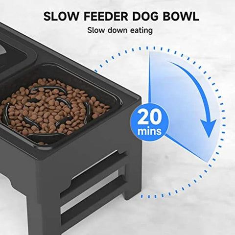 Close-up of elevated mess-free raised dog bowl with slow feeder design to slow down eating for 20 minutes